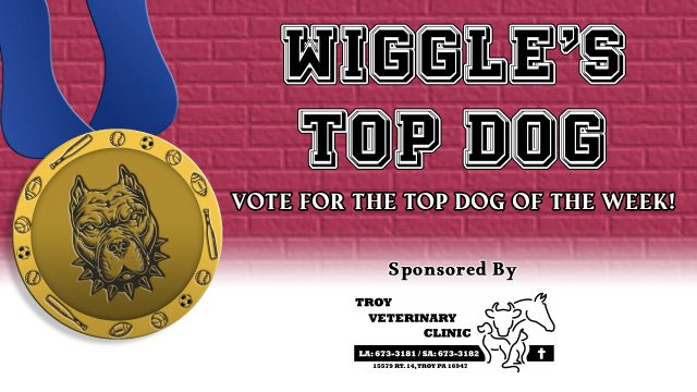 Wiggle's Top Dog of the Week